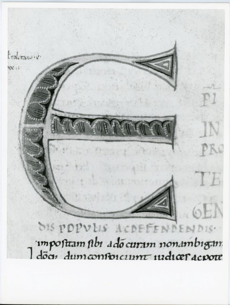 Anonimo italiano sec. XI , Iniziale E, Iniziale decorata, Motivi decorativi fitomorfi