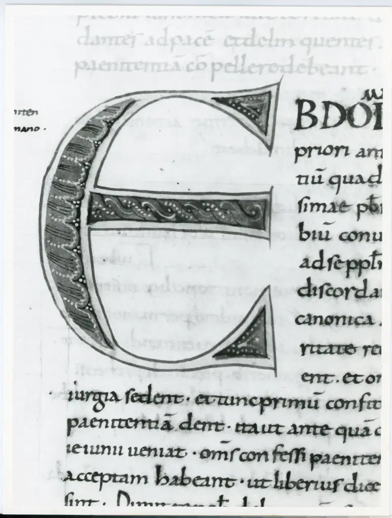 Anonimo italiano sec. XI , Iniziale E, Iniziale decorata, Motivi decorativi geometrici e vegetali, Intreccio