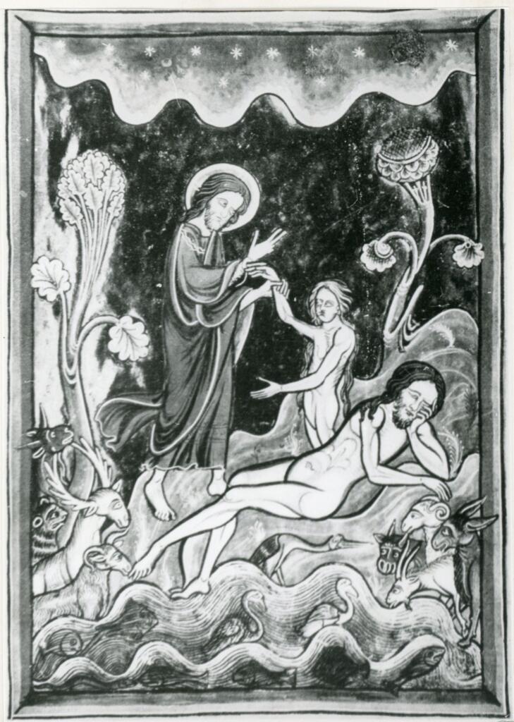 Anonimo , Psautier de saint Louis et de Blanche de Castille (Bibliothèque de l'Arsenal)/ La création de la femme , fronte