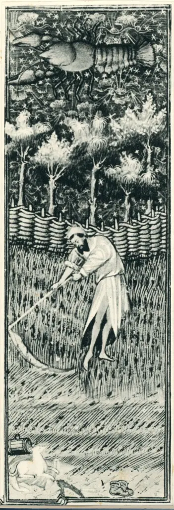 Anonimo , Maestro di Rohan - sec. XV - Parigi, Bibliothèque nationale de France, Ms. Latin 9471 (Grandes Heures de Rohan), f. 8v, particolare , fronte