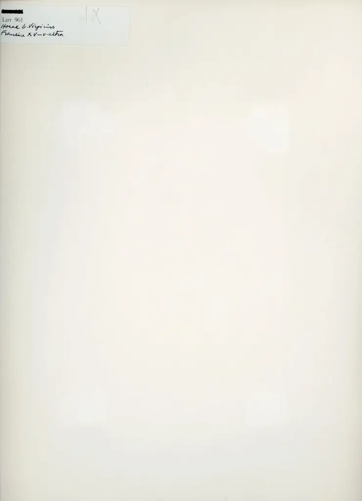 Anonimo , Anonimo francese sec. XV - Horae Beatae Virginis, Presentazione di Maria Vergine al Tempio , retro