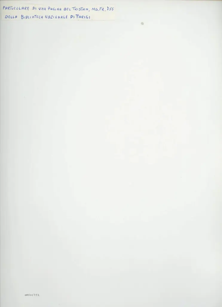 Anonimo , Particolare di una pagina del Tristan, Ms. Fr. 755 della Biblioteca nazionale di Parigi , retro