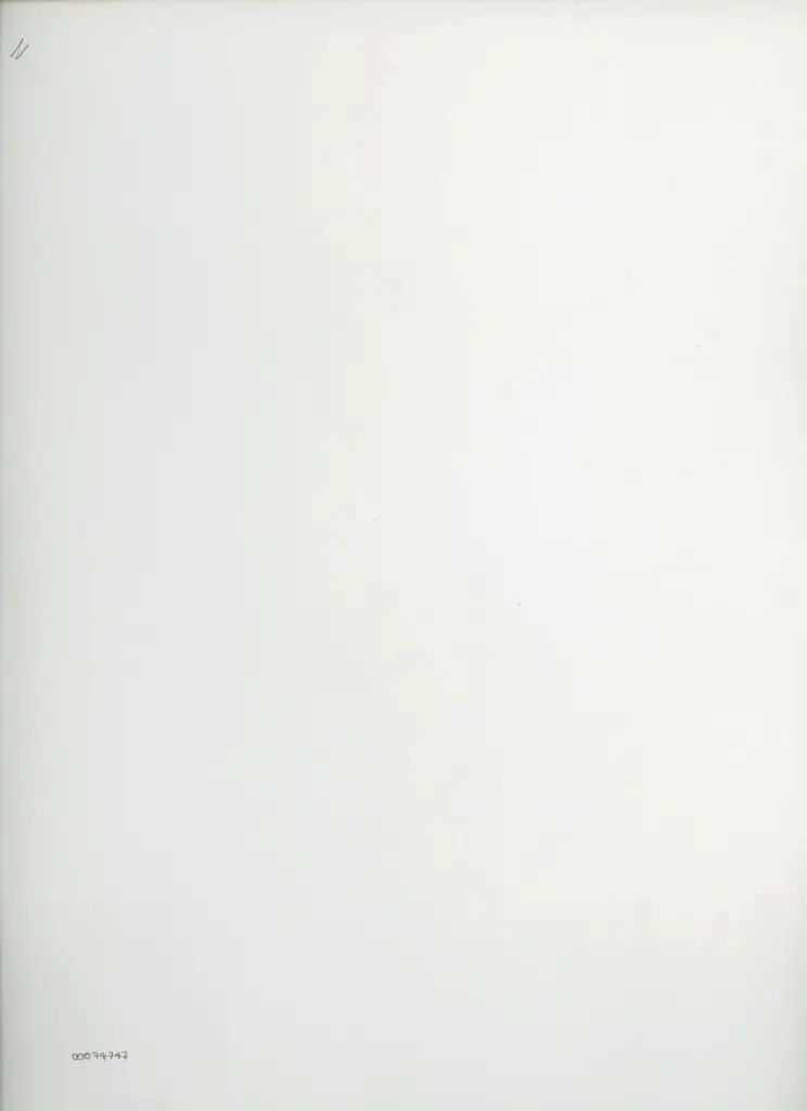 Anonimo , Bellange Jacques - post 1525 - Ritratto di Louis II de La Tr&eacute;moille, duca di Thouars , retro