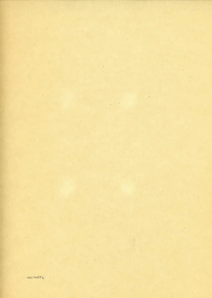 Anonimo , Anonimo - sec. V - Città del Vaticano, Biblioteca Apostolica Vaticana, Vat. lat. 3225, f. LVIIIr, particolare , retro