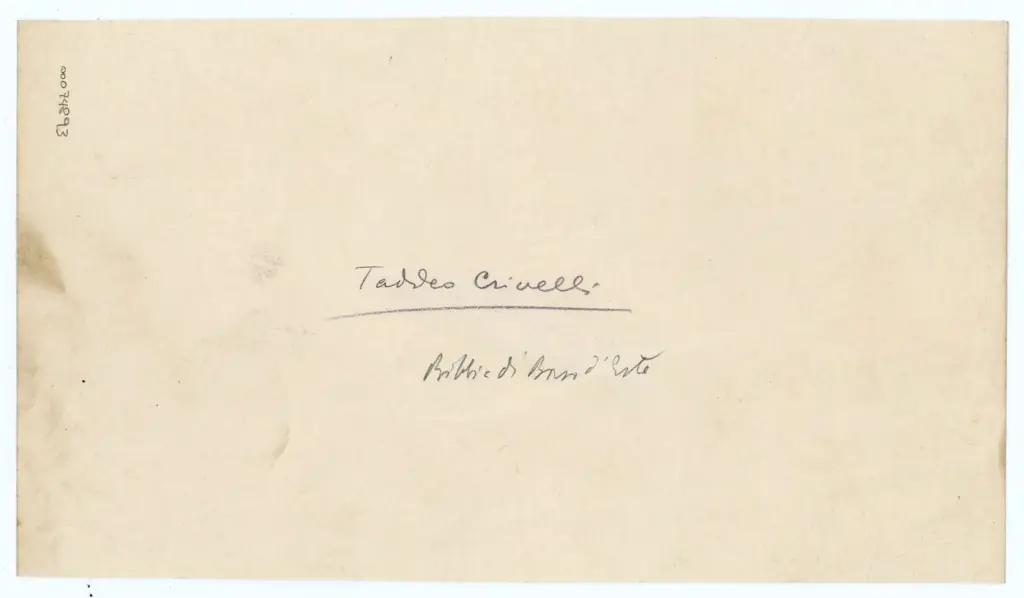 Anonimo , Taddeo Crivelli- 1455-1461 - Modena, Biblioteca Estense universitaria, Ms. Lat. 422=V.G. 12, ff. 141v, 145r, 145v, 146r, 156v, 179r, 223r, particolari , retro