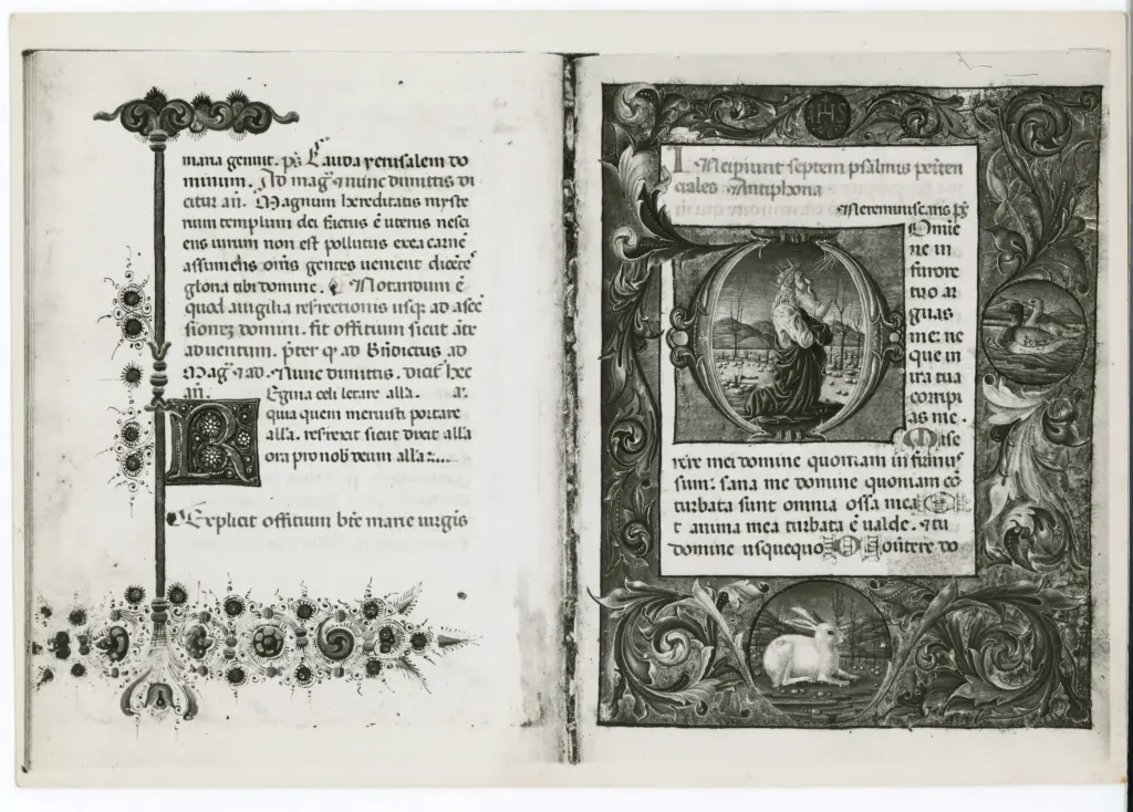 Anonimo veronese sec. XV ; Anonimo sec. XV , Iniziale D, Iniziale abitata, David, Cornice con motivi decorativi fitomorfi e animali, Iniziale R