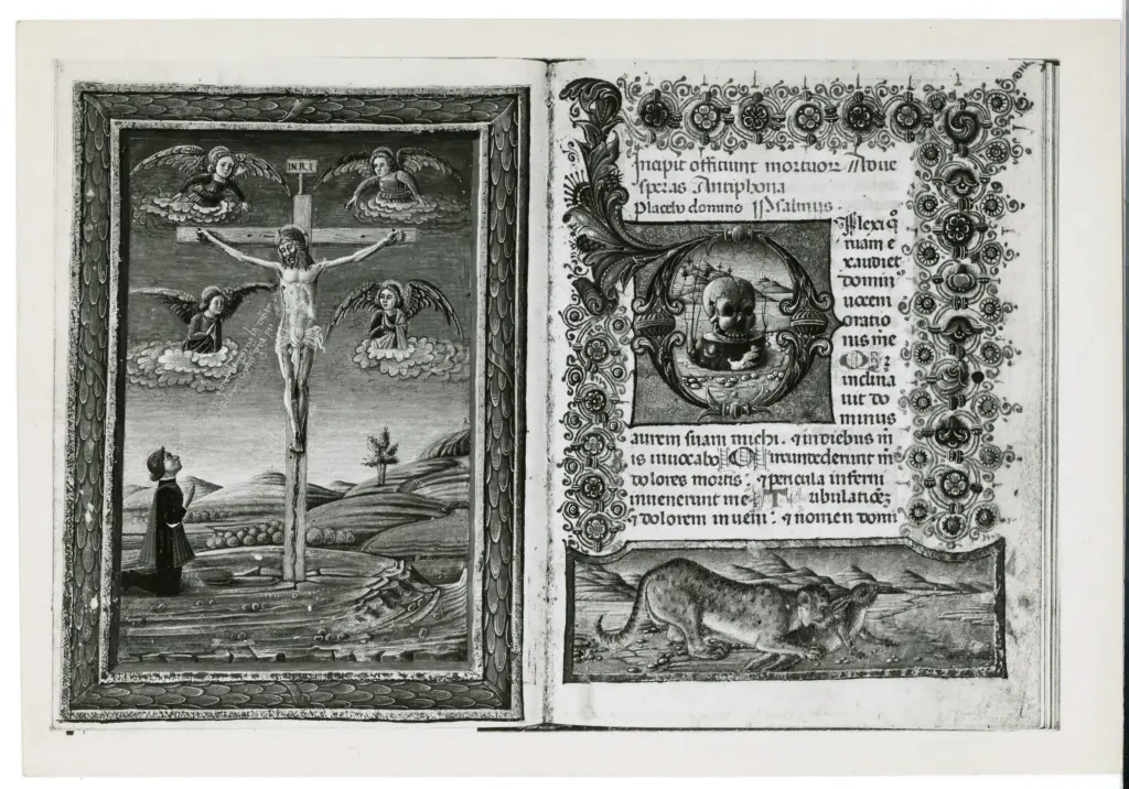Anonimo veronese sec. XV , Crocifissione di Cristo, Iniziale D, Iniziale abitata, Teschio, Motivi decorativi fitomorfi