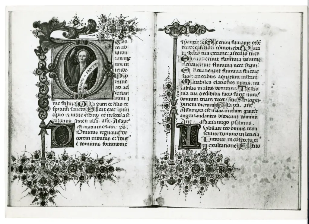 Anonimo veronese sec. XV , Profeta Daniele, Iniziale D, Iniziale L, Iniziale abitata, Iniziale decorata, Motivi decorativi fitomorfi