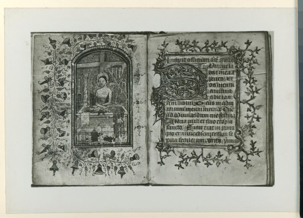 Anonimo sec. XV , Cristo con gli strumenti della Passione, Iniziale D, Iniziale decorata, Motivi decorativi fitomorfi