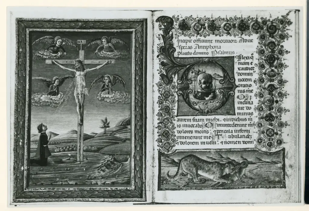 Istituto Centrale per il Catalogo e la Documentazione: Fototeca Nazionale , Bassano del Grappa. Museo civico - Biblioteca. N° 1562 , fronte