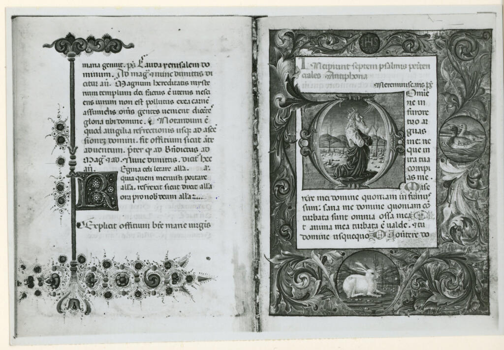 Istituto Centrale per il Catalogo e la Documentazione: Fototeca Nazionale , Bassano del Grappa. Museo civico - Biblioteca - n° 1562 , retro