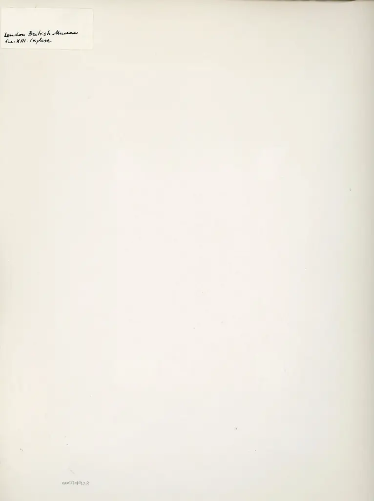 Anonimo , Anonimo - sec. XIII - Londra, British Library, manoscritto , retro