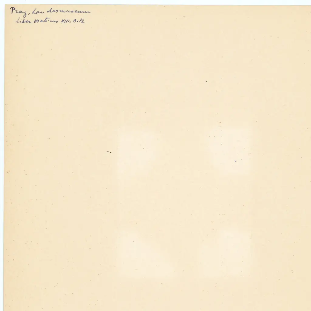 Anonimo , Anonimo - sec. XIV - Praga, Knihovna N&aacute;rodn&iacute;ho muzea (Biblioteca del Museo Nazionale), ms. XIII.A.12, particolare di un foglio , retro