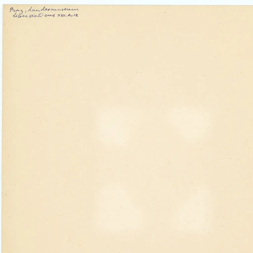 Anonimo , Anonimo - sec. XIV - Praga, Knihovna Národního muzea (Biblioteca del Museo Nazionale), manoscritto XIII.A.12, particolare di un foglio , retro