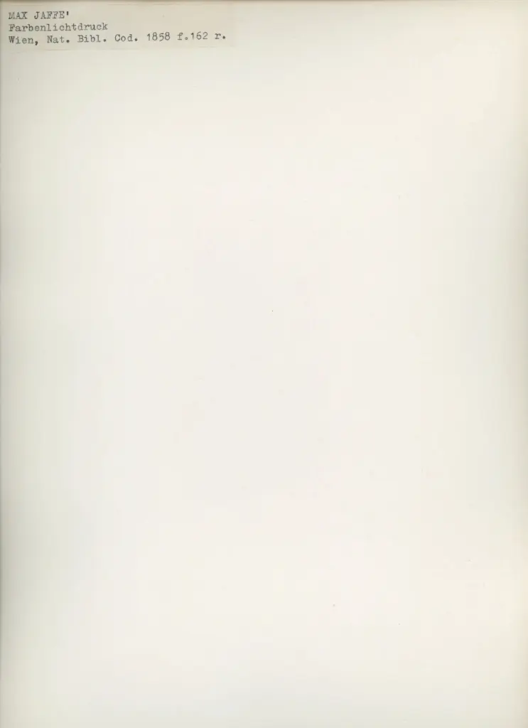 Anonimo , Max Jaff&egrave; - Farbenlichtdruck - Wien, Nat. Bibl. Cod. 1858 f. 162r. , retro