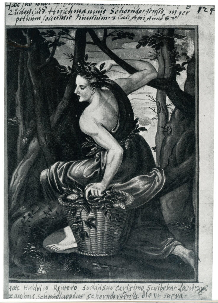 Anonimo , Dryas, der Schutzgott der Eichen, 1582 von David Brendel im Stammbuch des Ulrich Reutter gemalt - Nürnberg, Germ. Nationalmuseum , fronte