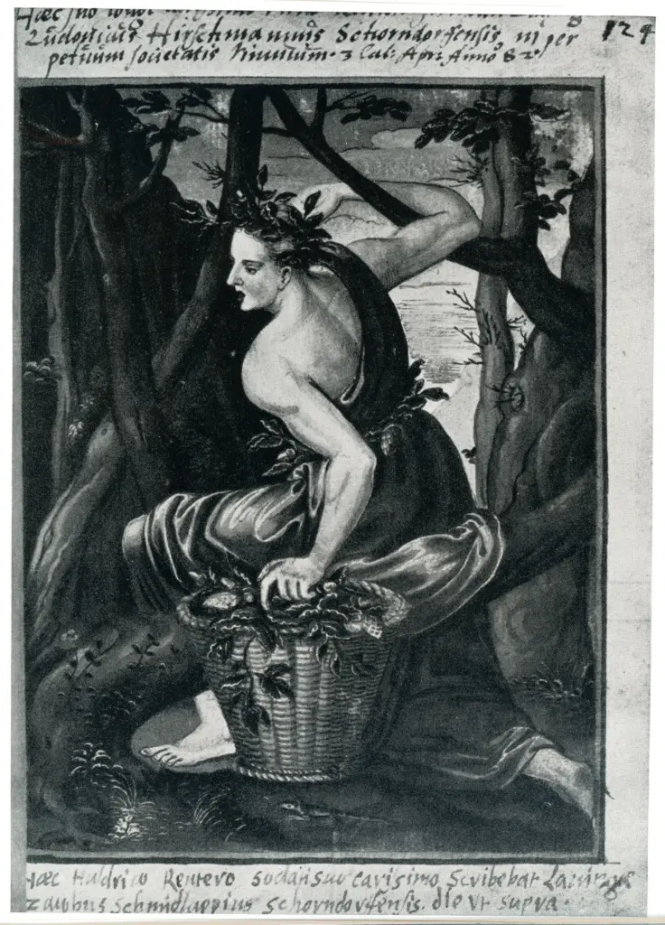 Anonimo , Dryas, der Schutzgott der Eichen, 1582 von David Brendel im Stammbuch des Ulrich Reutter gemalt - N&uuml;rnberg, Germ. Nationalmuseum , fronte