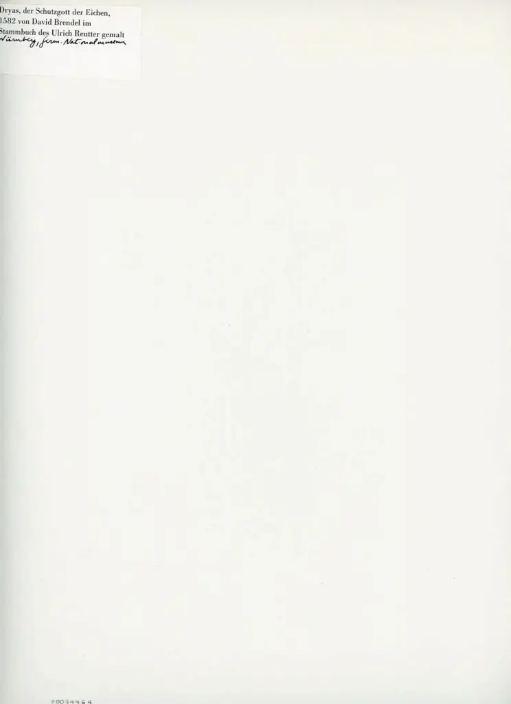 Anonimo , Dryas, der Schutzgott der Eichen, 1582 von David Brendel im Stammbuch des Ulrich Reutter gemalt - N&uuml;rnberg, Germ. Nationalmuseum , retro