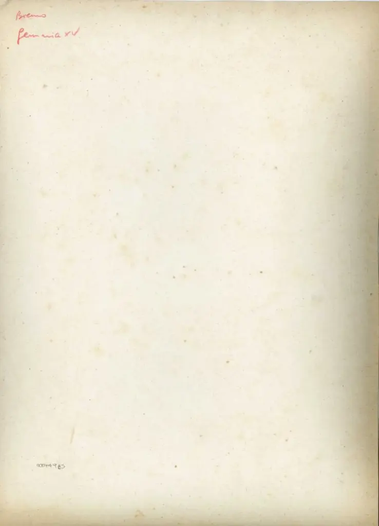 Anonimo , Anonimo - sec. XV - manoscritto, un foglio intero , retro