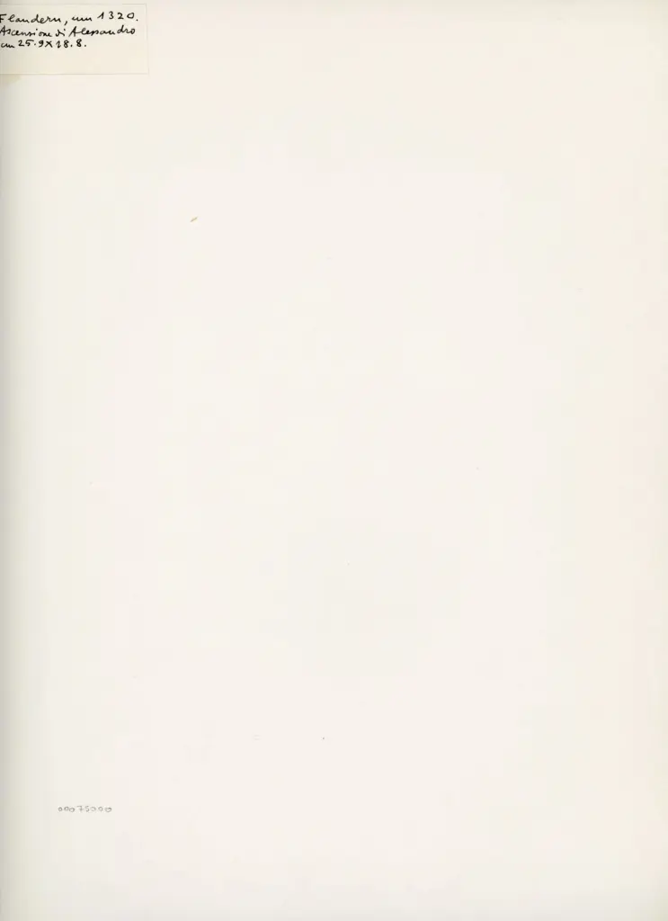 Anonimo , Flandern, um 1320. Ascensione di Alessandro - cm. 25.9x28.8. , retro