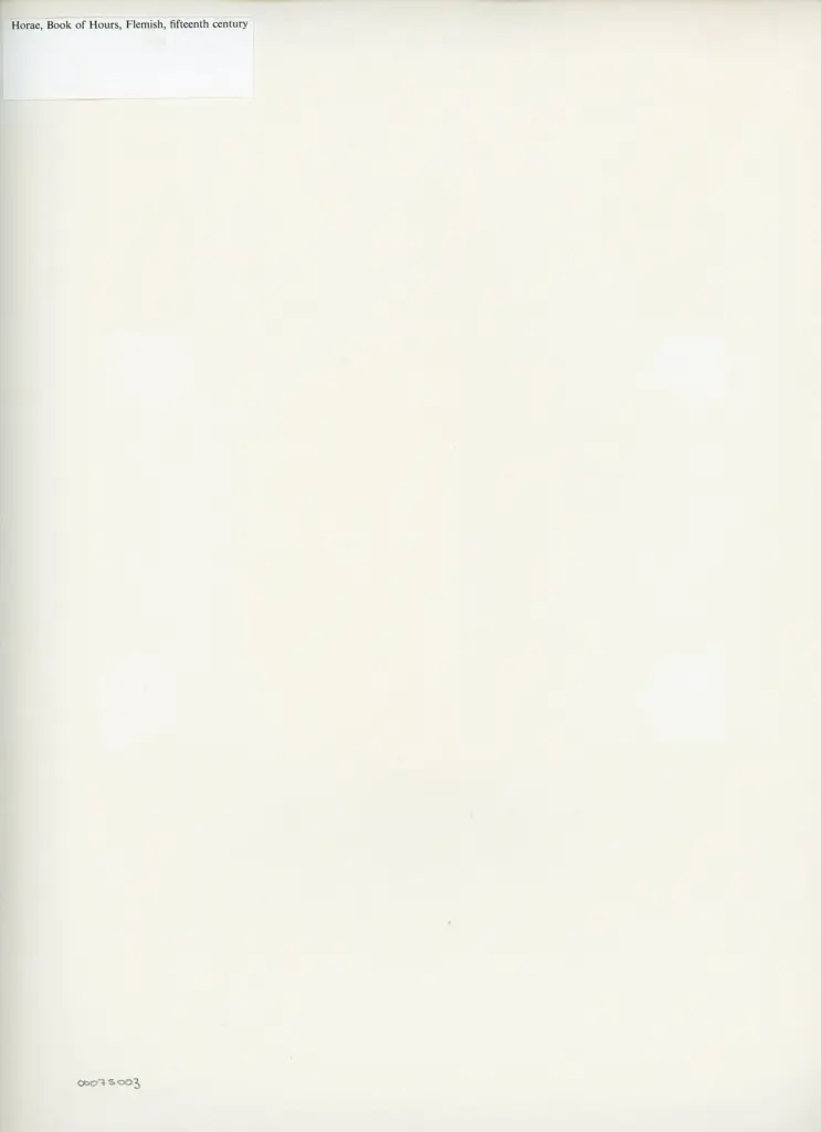 Anonimo , Horae, Book of Hours, Flemish, fifteenth century , retro