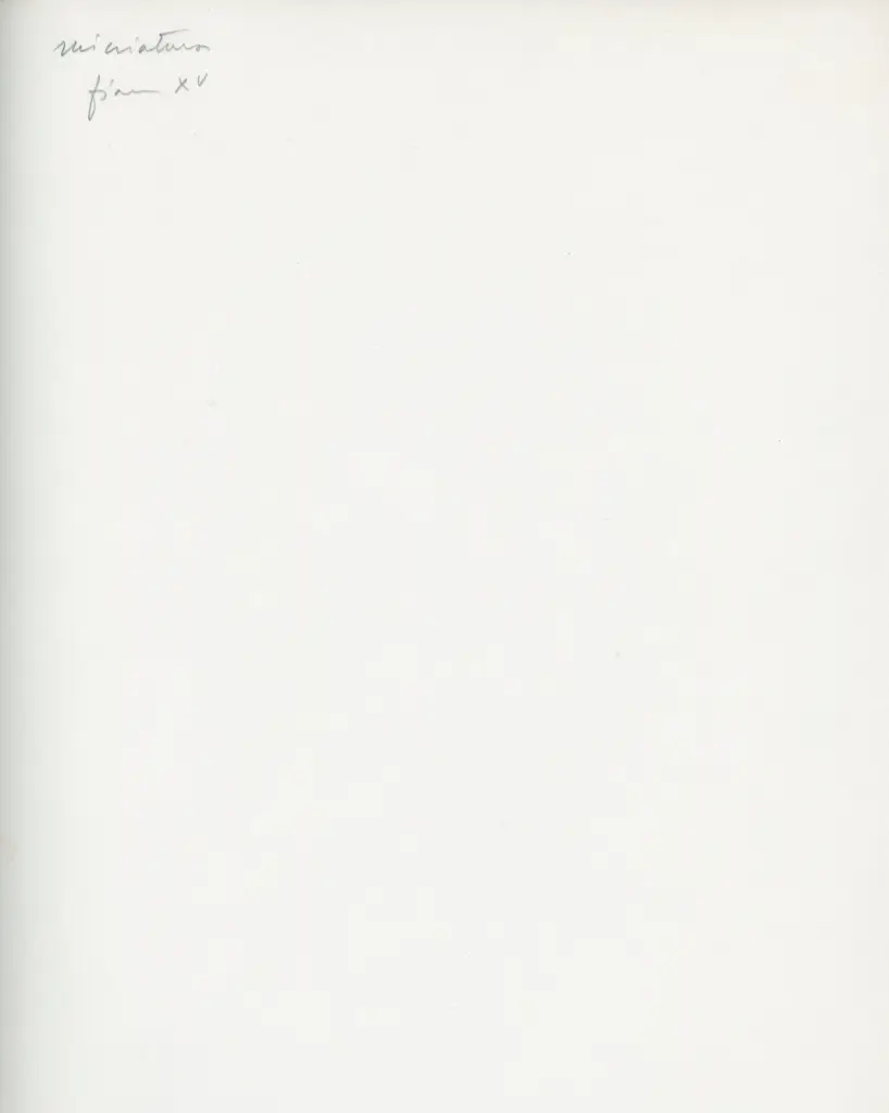 Anonimo , Anonimo - sec. XV - manoscritto, due fogli interi , retro