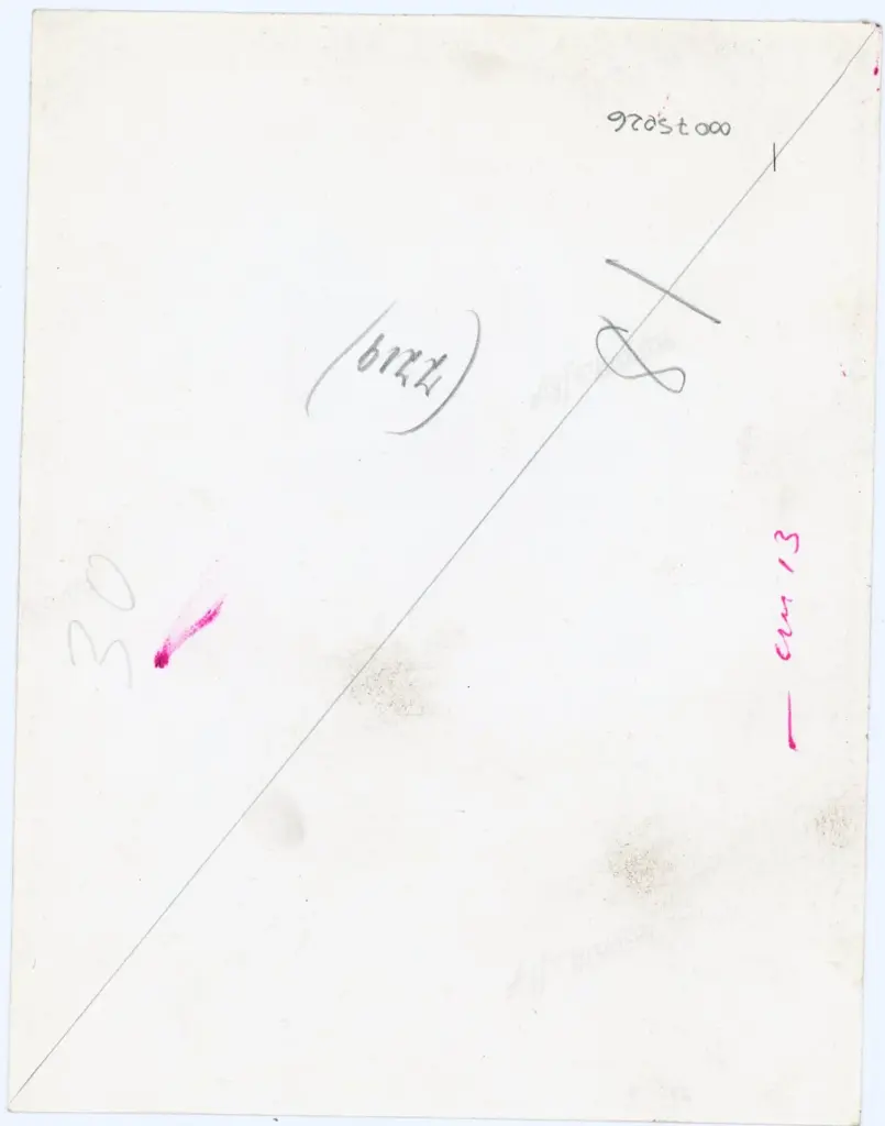 Anonimo , Disegno di Mehmet Siyah Kalem detto Penna Nera nell'Album del Conquistatore, Istambul, Biblioteca del Palazzo di Topkapi. , retro