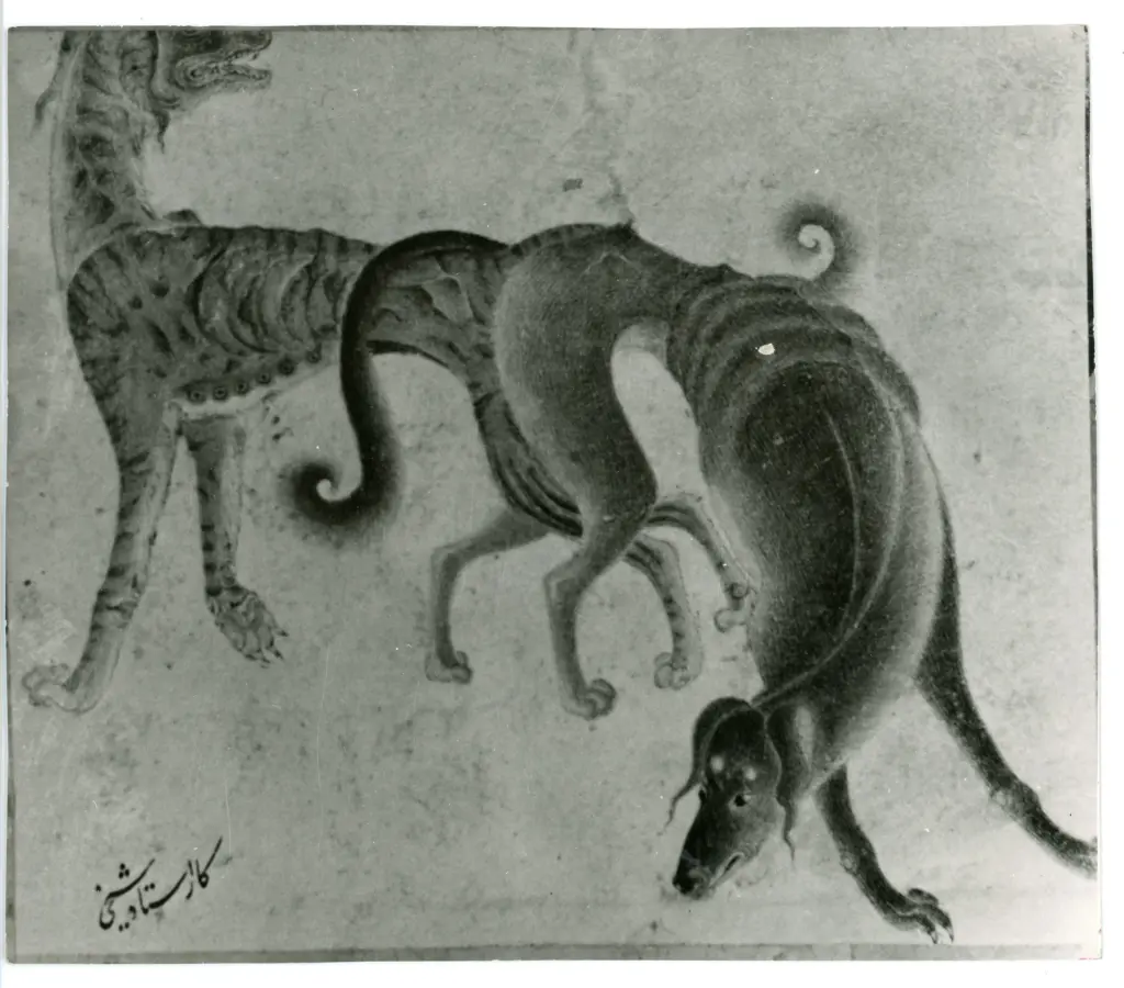 Siyah Qalam , Animali