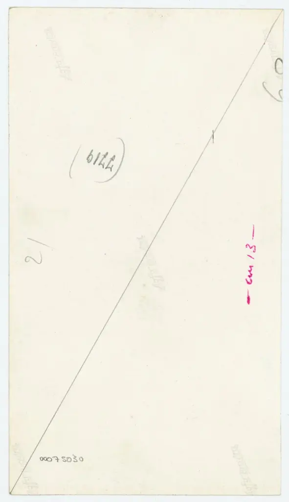 Anonimo , Disegno di Mehmet Siyah Kalem detto Penna Nera nell'Album del Conquistatore, Istambul, Biblioteca del Palazzo di Topkapi. , retro