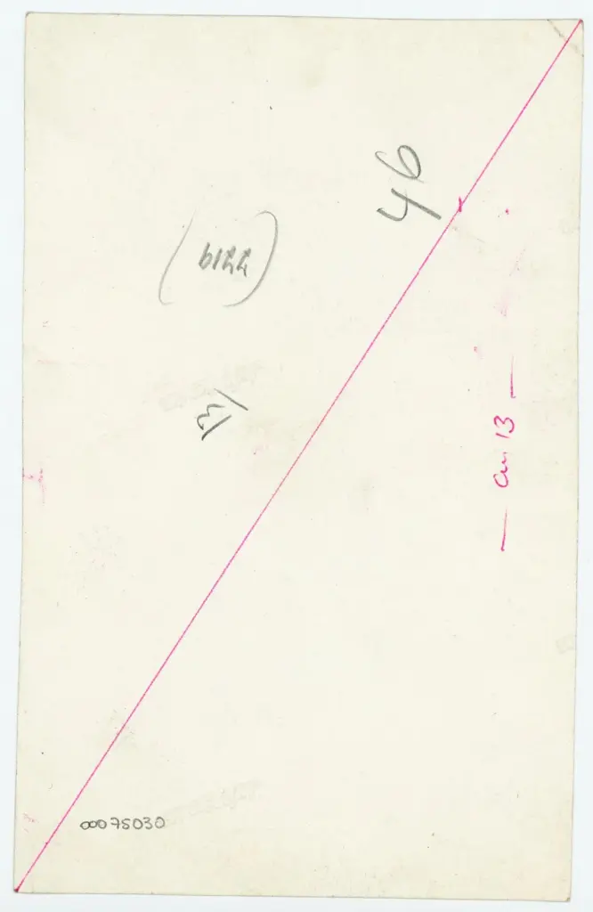 Anonimo , Disegno di Mehmet Siyah Kalem detto Penna Nera nell'Album del Conquistatore, Istambul, Biblioteca del Palazzo di Topkapi. , retro