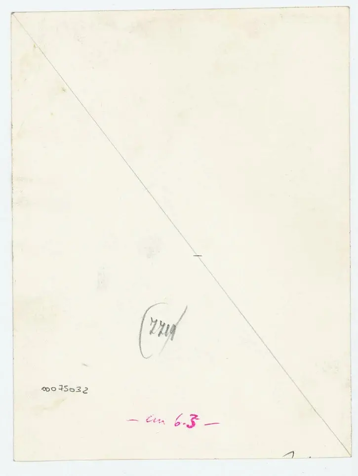 Anonimo , Disegno di Mehmet Siyah Kalem detto Penna Nera nell'Album del Conquistatore, Istambul, Biblioteca del Palazzo di Topkapi. , retro