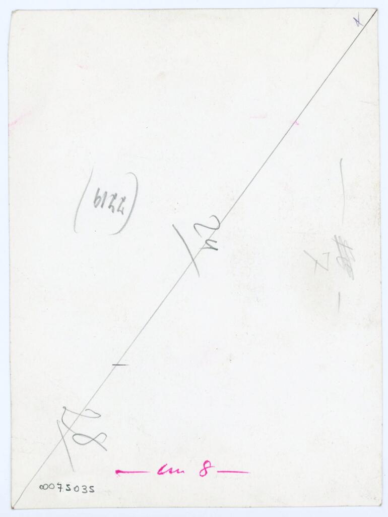 Anonimo , Disegno di Mehmet Siyah Kalem detto Penna Nera nell'Album del Conquistatore, Istambul, Biblioteca del Palazzo di Topkapi. , retro