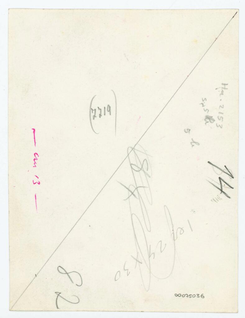 Anonimo , Disegno di Mehmet Siyah Kalem detto Penna Nera nell'Album del Conquistatore, Istambul, Biblioteca del Palazzo di Topkapi. , retro