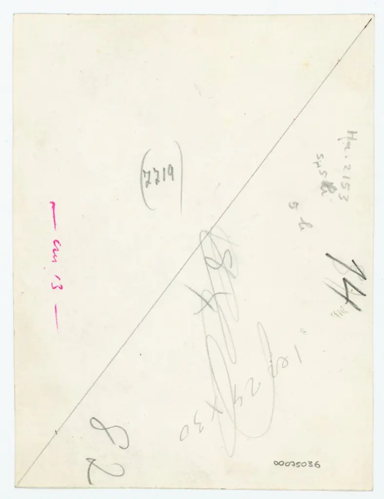 Anonimo , Disegno di Mehmet Siyah Kalem detto Penna Nera nell'Album del Conquistatore, Istambul, Biblioteca del Palazzo di Topkapi. , retro