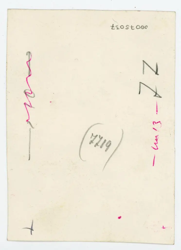 Anonimo , Disegno di Mehmet Siyah Kalem detto Penna Nera nell'Album del Conquistatore, Istambul, Biblioteca del Palazzo di Topkapi. , retro