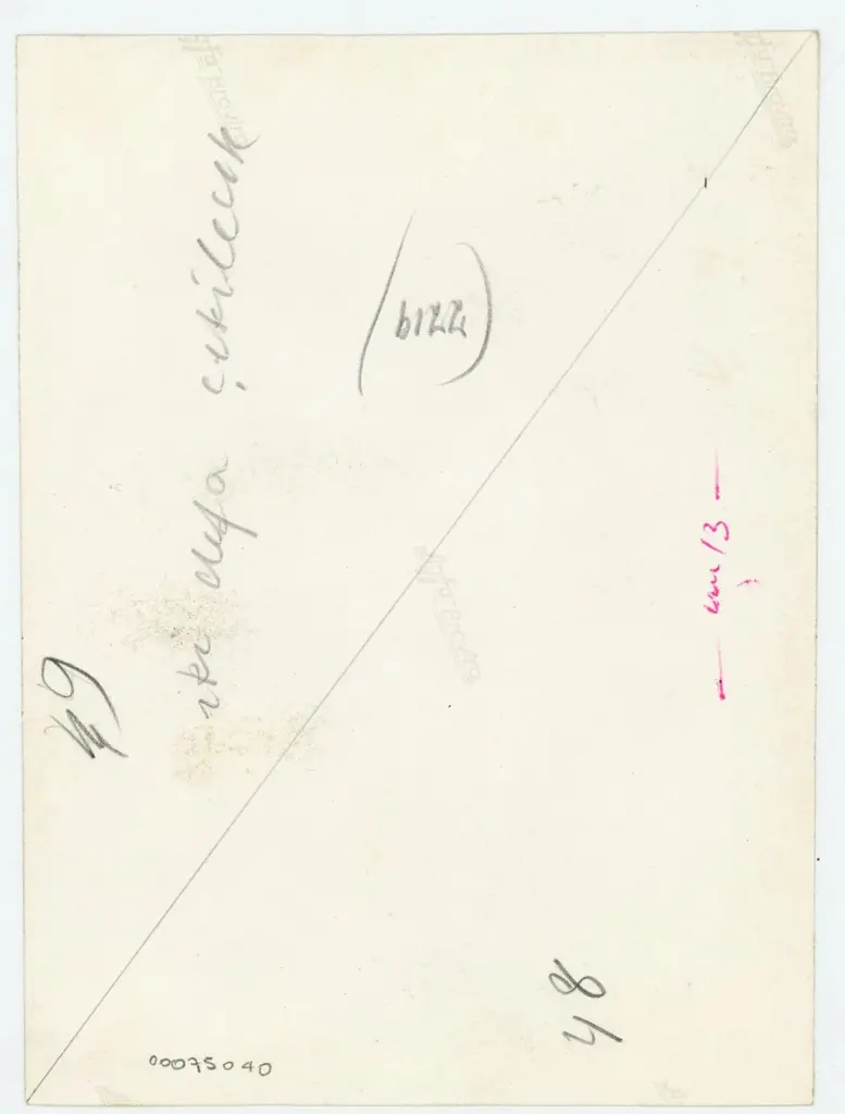 Anonimo , Disegno di Mehmet Siyah Kalem detto Penna Nera nell'Album del Conquistatore, Istambul, Biblioteca del Palazzo di Topkapi. , retro