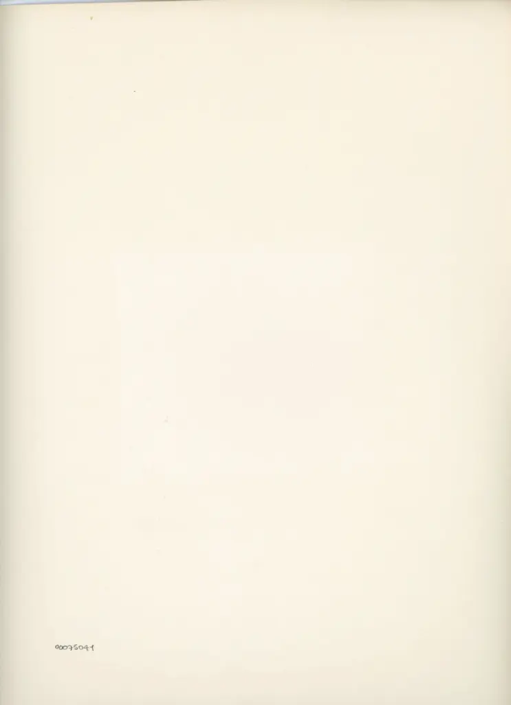 Anonimo , Disegno di Mehmet Siyah Kalem detto Penna Nera nell'Album del Conquistatore, Istambul, Biblioteca del Palazzo di Topkapi. , retro