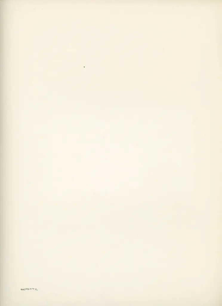 Anonimo , Disegno di Mehmet Siyah Kalem detto Penna Nera nell'Album del Conquistatore, Istambul, Biblioteca del Palazzo di Topkapi. , retro