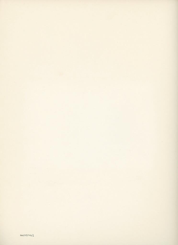 Anonimo , Disegno di Mehmet Siyah Kalem detto Penna Nera nell'Album del Conquistatore, Istambul, Biblioteca del Palazzo di Topkapi. , retro