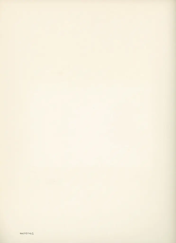 Anonimo , Disegno di Mehmet Siyah Kalem detto Penna Nera nell'Album del Conquistatore, Istambul, Biblioteca del Palazzo di Topkapi. , retro