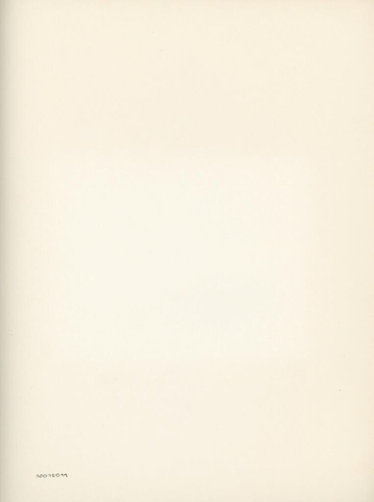 Anonimo , Disegno di Mehmet Siyah Kalem detto Penna Nera nell'Album del Conquistatore, Istambul, Biblioteca del Palazzo di Topkapi. , retro