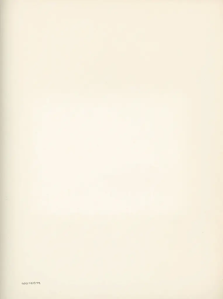 Anonimo , Disegno di Mehmet Siyah Kalem detto Penna Nera nell'Album del Conquistatore, Istambul, Biblioteca del Palazzo di Topkapi. , retro