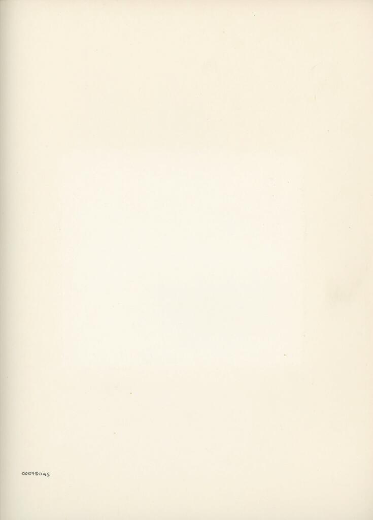 Anonimo , Disegno di Mehmet Siyah Kalem detto Penna Nera nell'Album del Conquistatore, Istambul, Biblioteca del Palazzo di Topkapi. , retro