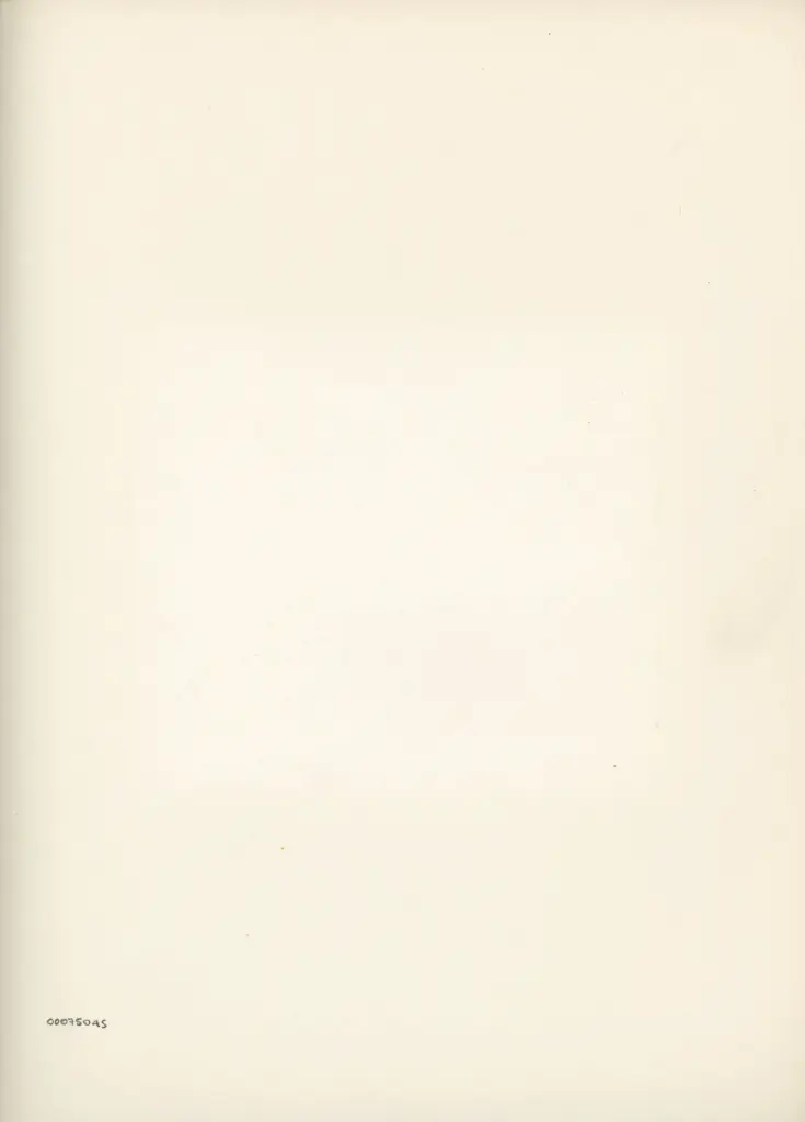 Anonimo , Disegno di Mehmet Siyah Kalem detto Penna Nera nell'Album del Conquistatore, Istambul, Biblioteca del Palazzo di Topkapi. , retro