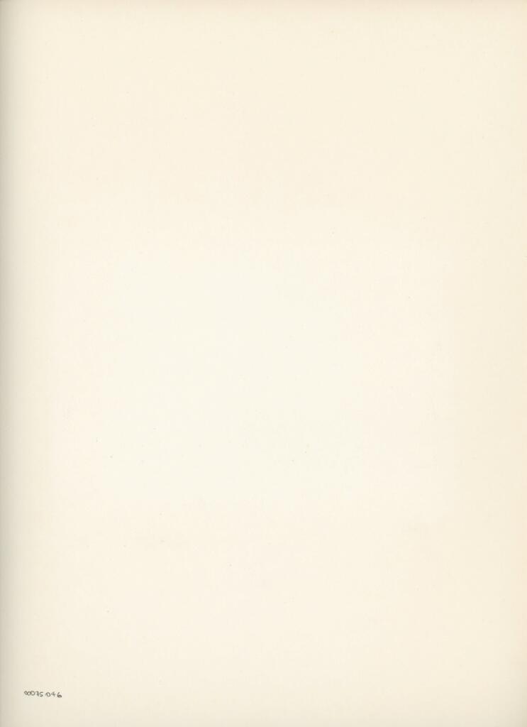 Anonimo , Disegno di Mehmet Siyah Kalem detto Penna Nera nell'Album del Conquistatore, Istambul, Biblioteca del Palazzo di Topkapi. , retro