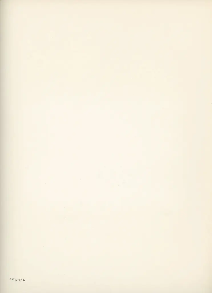 Anonimo , Disegno di Mehmet Siyah Kalem detto Penna Nera nell'Album del Conquistatore, Istambul, Biblioteca del Palazzo di Topkapi. , retro