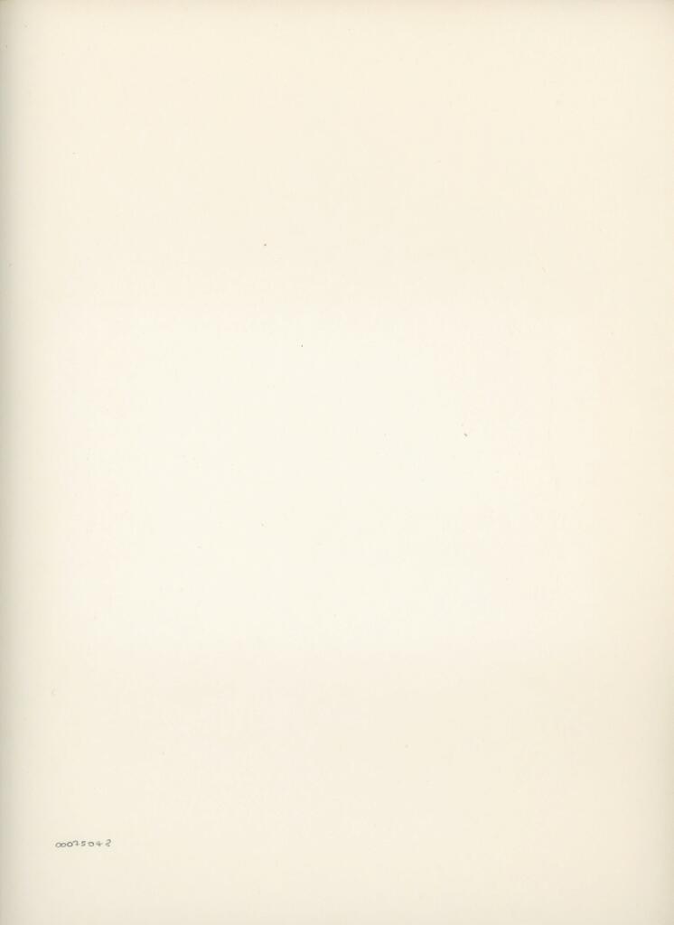 Anonimo , Disegno di Mehmet Siyah Kalem detto Penna Nera nell'Album del Conquistatore, Istambul, Biblioteca del Palazzo di Topkapi. , retro