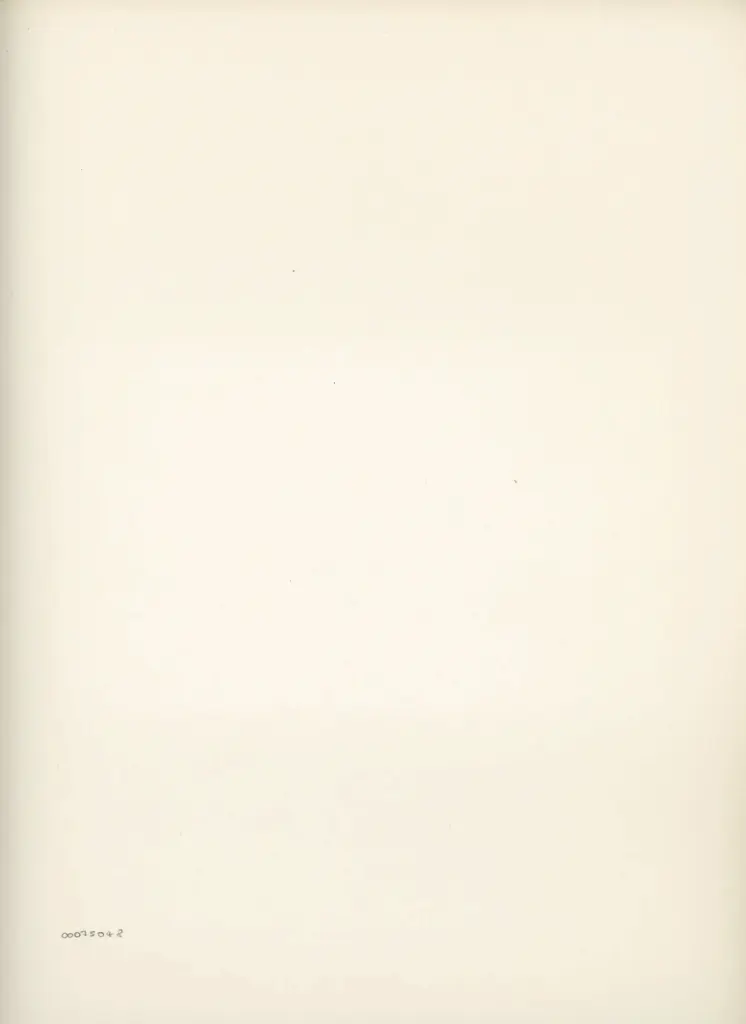 Anonimo , Disegno di Mehmet Siyah Kalem detto Penna Nera nell'Album del Conquistatore, Istambul, Biblioteca del Palazzo di Topkapi. , retro