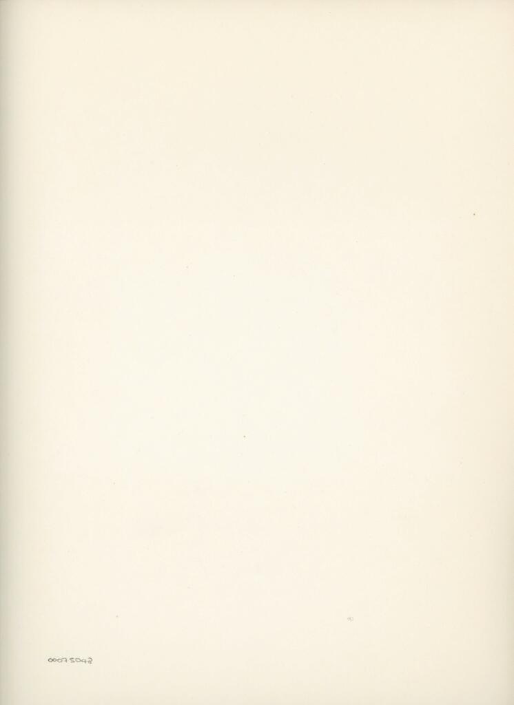 Anonimo , Disegno di Mehmet Siyah Kalem detto Penna Nera nell'Album del Conquistatore, Istambul, Biblioteca del Palazzo di Topkapi. , retro