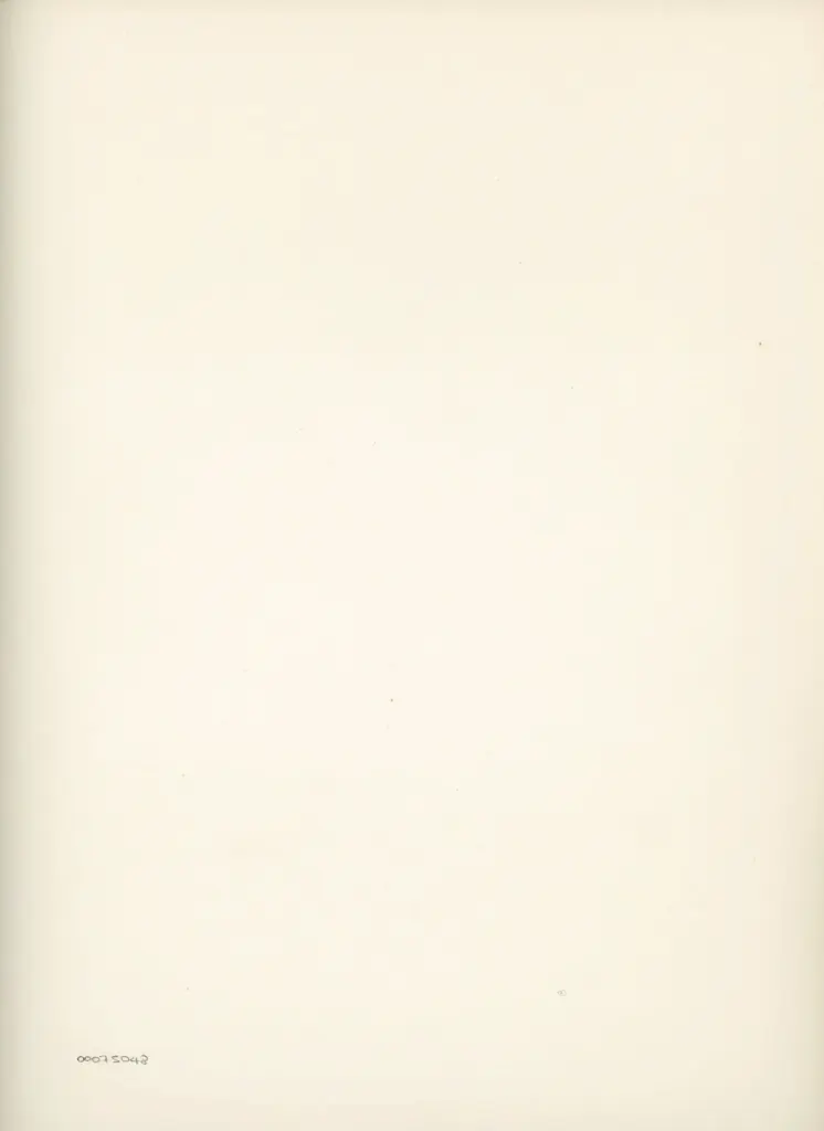 Anonimo , Disegno di Mehmet Siyah Kalem detto Penna Nera nell'Album del Conquistatore, Istambul, Biblioteca del Palazzo di Topkapi. , retro